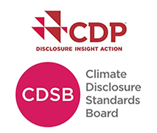 The Proposed International Sustainability Standards Board and the future for ESG disclosure | Tokyo Sustainable Finance Week