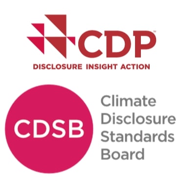 The Proposed International Sustainability Standards Board and the future for ESG disclosure| Tokyo Sustainable Finance Week